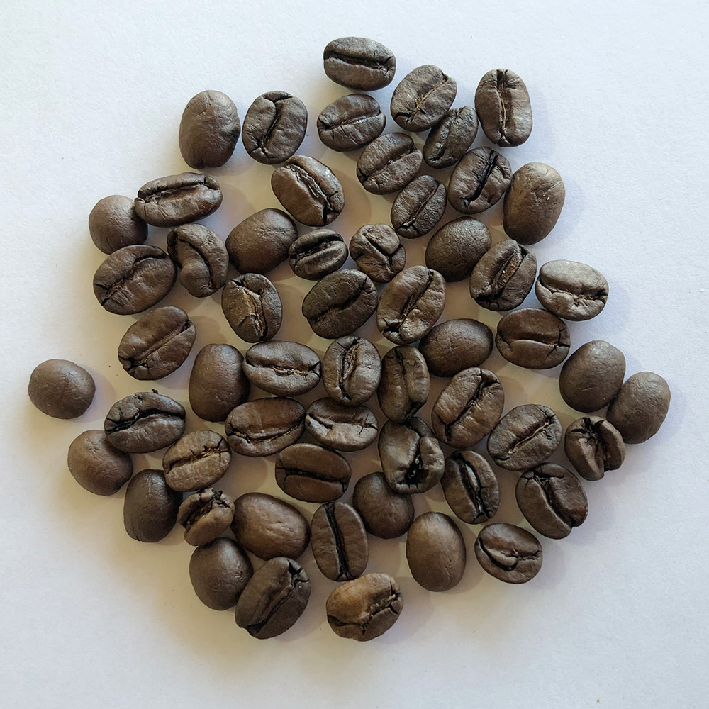 ブラジル・コクェイロ農園・ナチュラル・フルシティロースト