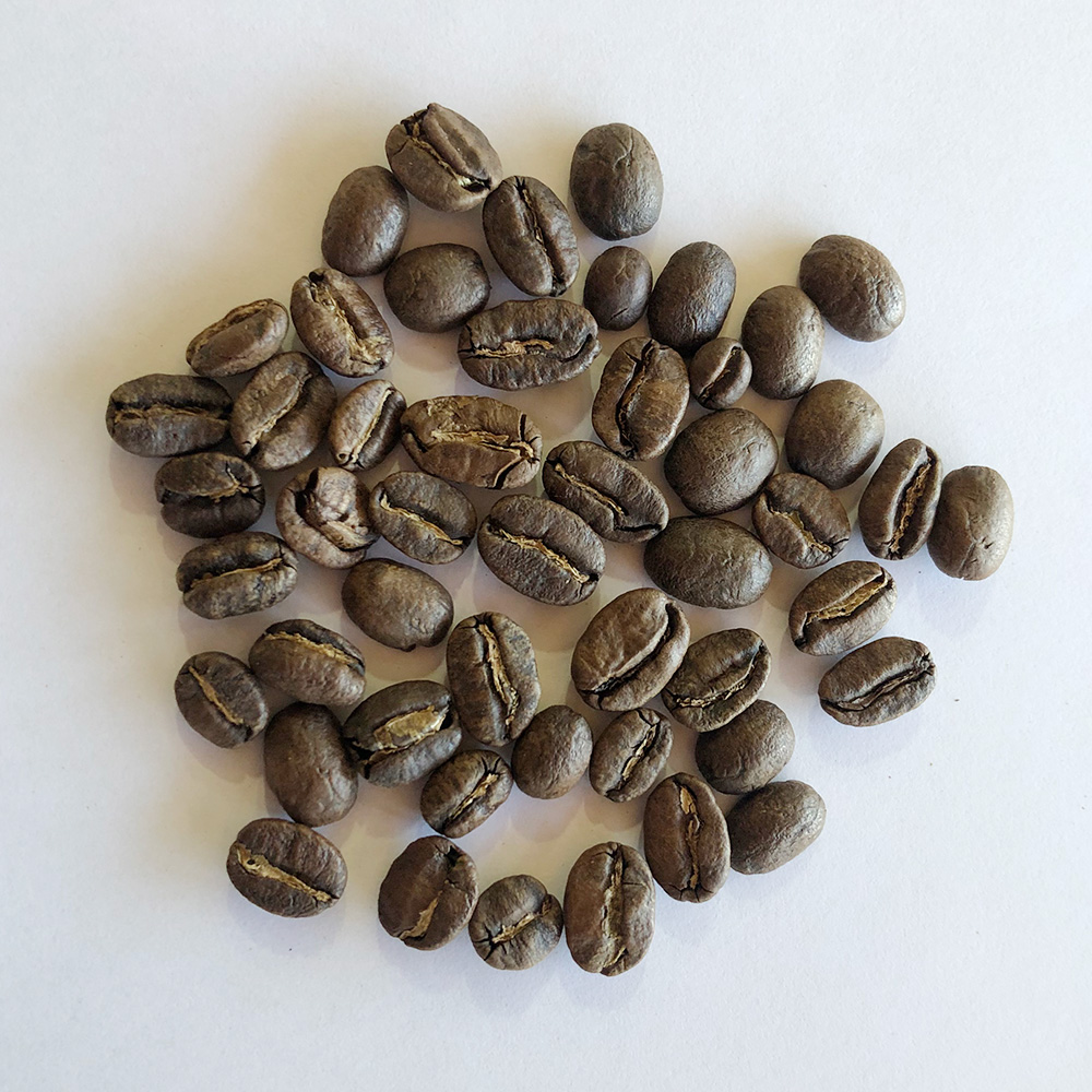 コロンビア・サントゥアリオ農園・W・シティロースト