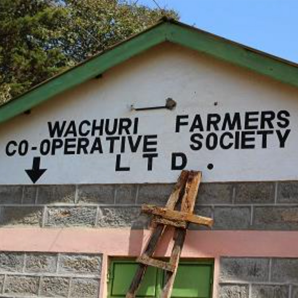 ケニア・ニエリ・ワチュリ生産組合・ FW・シナモンロースト