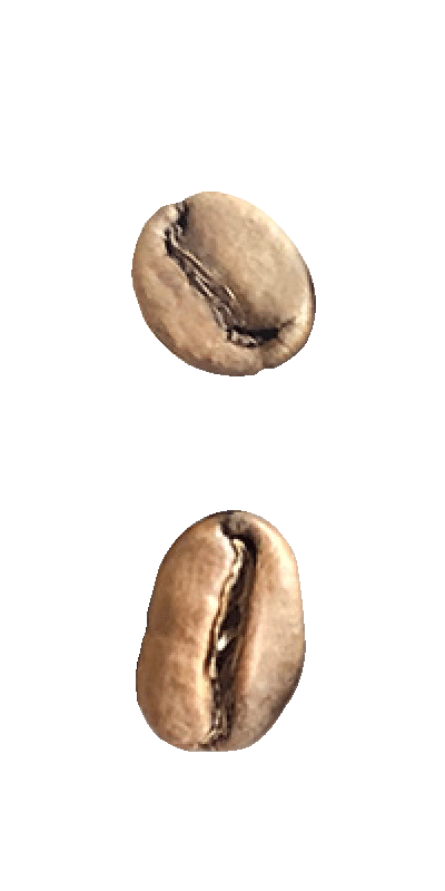 エチオピア・グジ・ハンベラCWS・ナチュラル スロードライ・ライトロースト