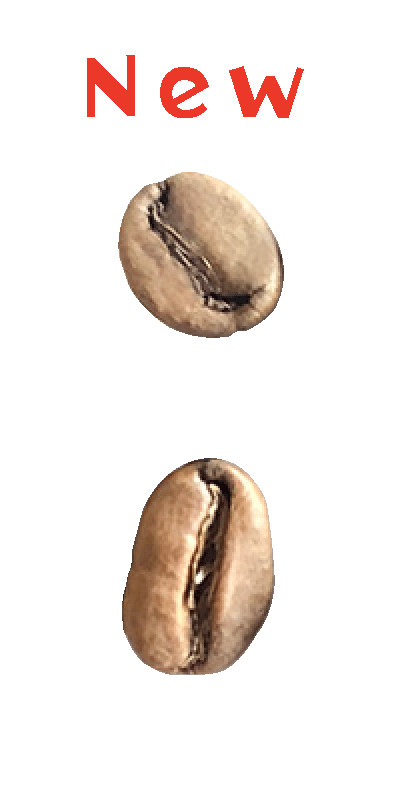 エチオピア・グジ・ハンベラCWS・ナチュラル スロードライ・ライトロースト