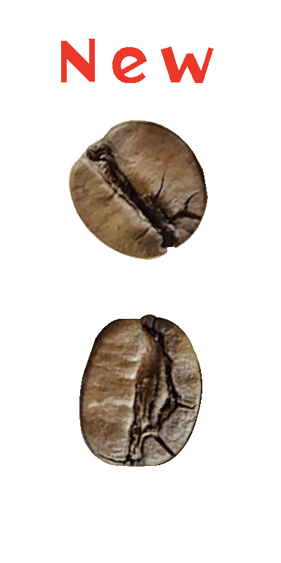 2026brazil_coqueiro_MR