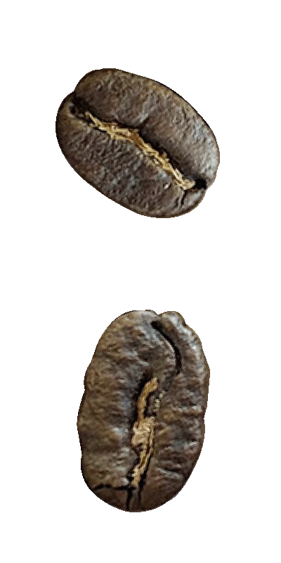 コロンビア・サントゥアリオ・シティロースト