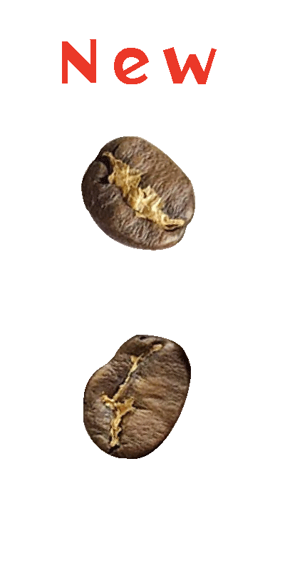 コスタリカ・ラリア・ピエサン農園・WH・ミディアムロースト