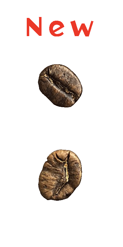 コスタリカ・モンテコペイ・キズナ農園・WH